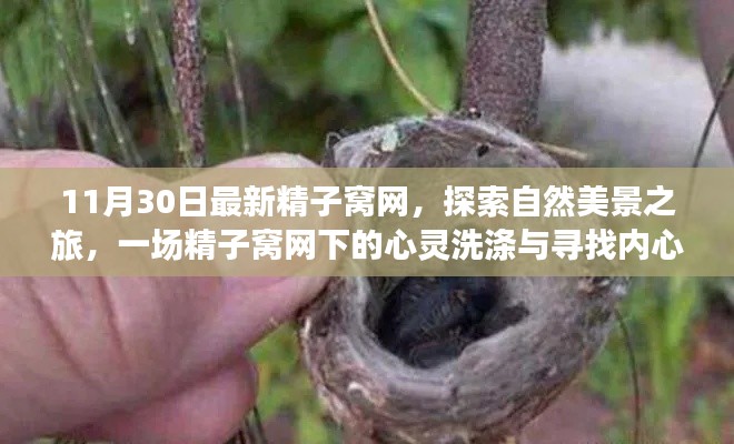 第685页