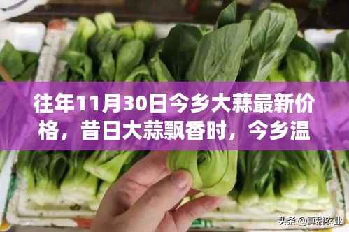 昔日大蒜飘香再现,今乡温情续缘——最新大蒜价格一览