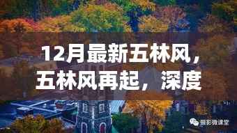 深度解读,十二月最新五林风再起与时代影响