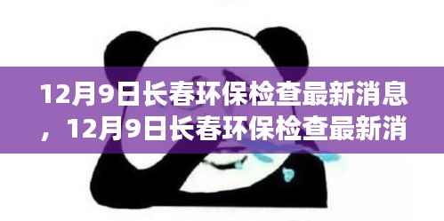12月9日长春环保检查最新消息，绿色发展的深度洞察与行动