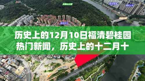 历史上的十二月十日福清碧桂园重大事件回顾与探究,热门新闻回顾与探究