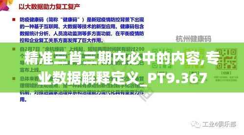 精准三肖三期内必中的内容,专业数据解释定义_PT9.367