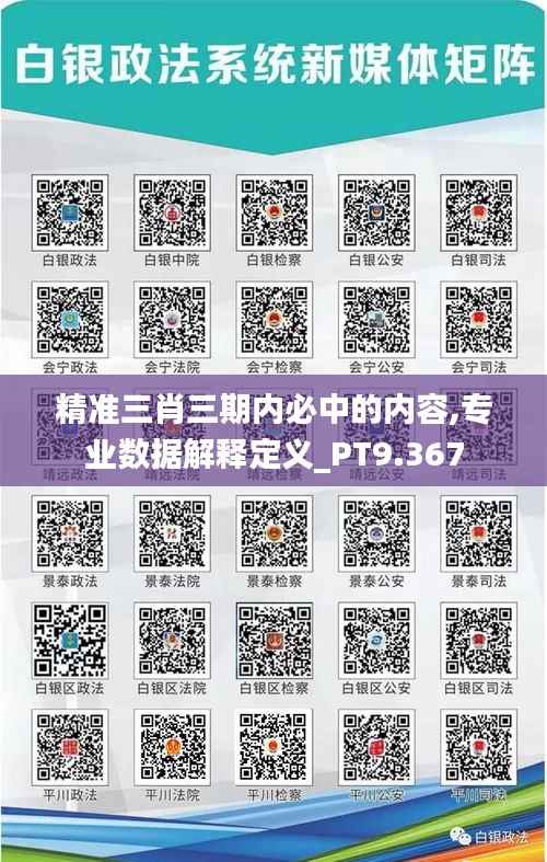 精准三肖三期内必中的内容,专业数据解释定义_PT9.367