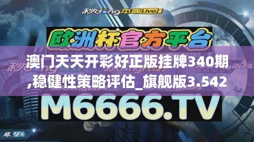 澳门天天开彩好正版挂牌340期,稳健性策略评估_旗舰版3.542
