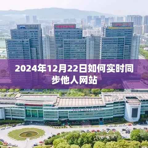 如何实时同步他人网站至2024年12月22日?