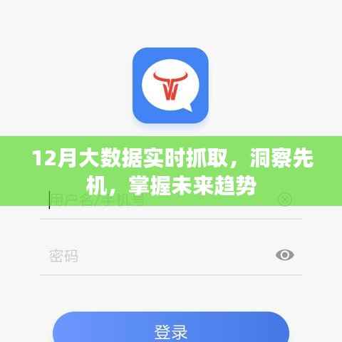 大数据实时抓取洞察未来趋势