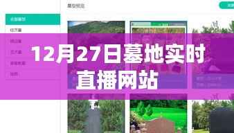 墓地直播,揭秘12月27日实时直播网站