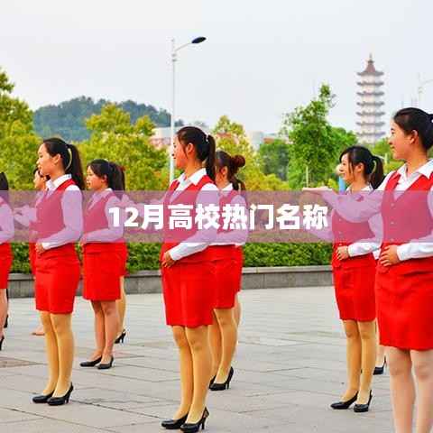 高校名称盘点,十二月热门榜单揭晓