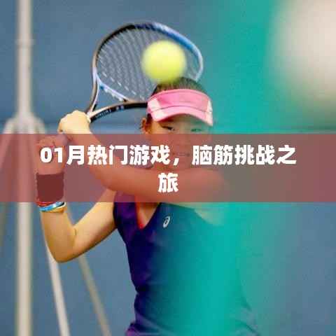 挑战智力极限,热门游戏精选