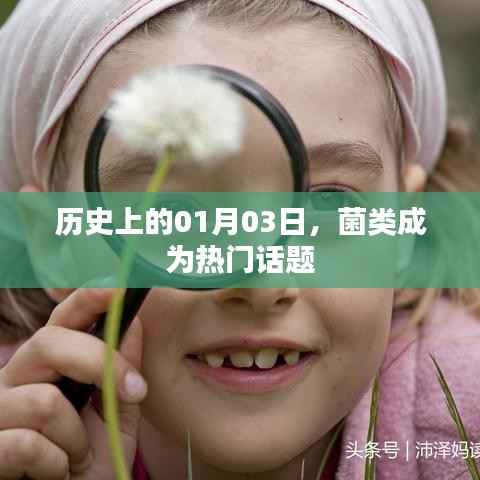 菌类话题日,历史上的1月3日回顾