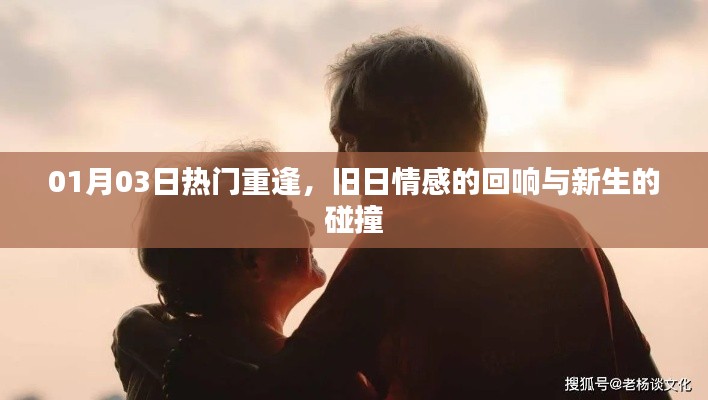 旧日情感回响与新生的碰撞,重逢时刻