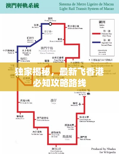飞箭如蝗