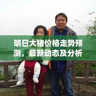 明日大猪价格走势预测,最新动态及分析摘要