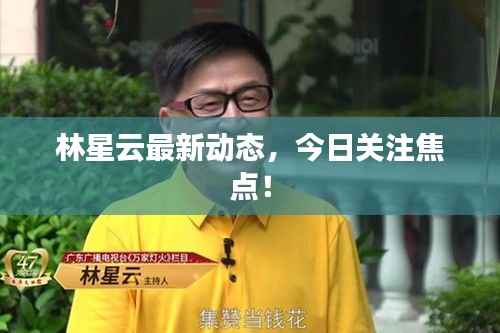 林星云最新动态，今日关注焦点！