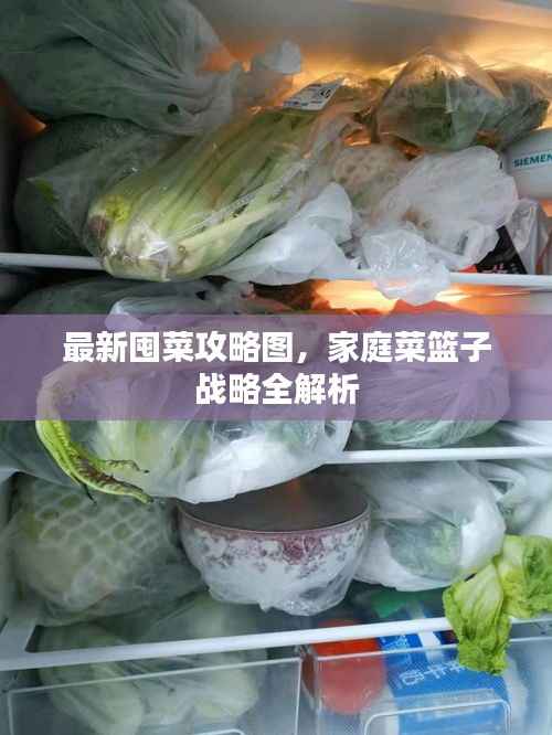 最新囤菜攻略图,家庭菜篮子战略全解析