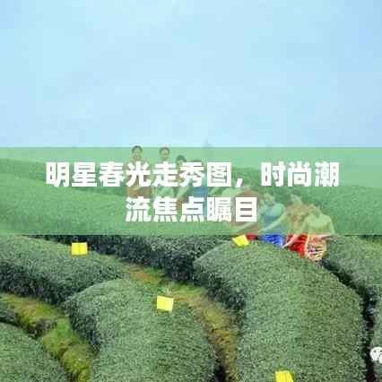 明星春光走秀图,时尚潮流焦点瞩目