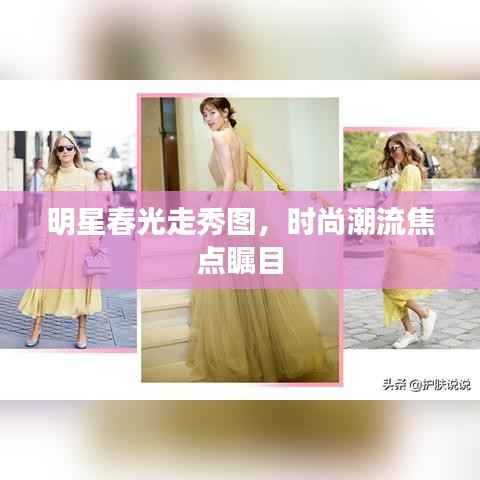 明星春光走秀图,时尚潮流焦点瞩目