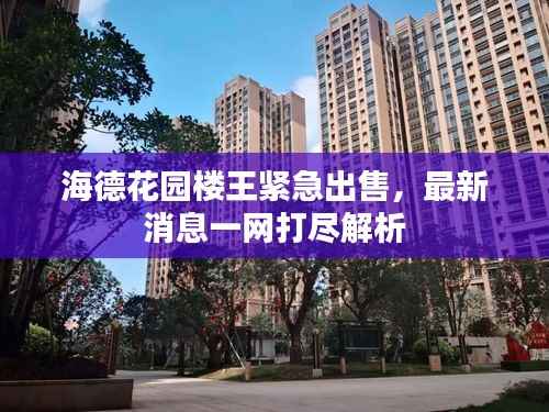 海德花园楼王紧急出售,最新消息一网打尽解析