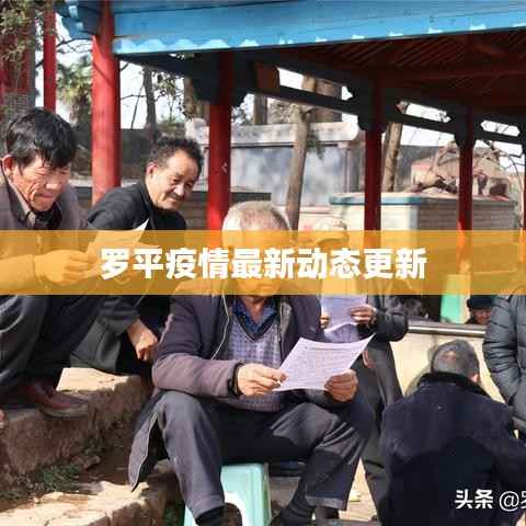 罗平疫情最新动态更新