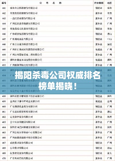 揭阳杀毒公司权威排名榜单揭晓!