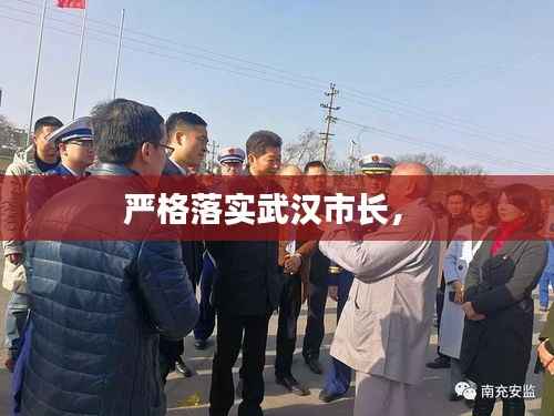 严格落实武汉市长,