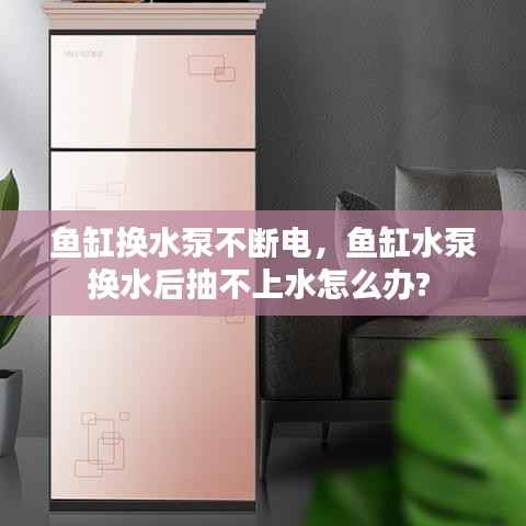 鱼缸换水泵不断电，鱼缸水泵换水后抽不上水怎么办? 