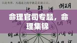 命理官司专题，命理集锦 