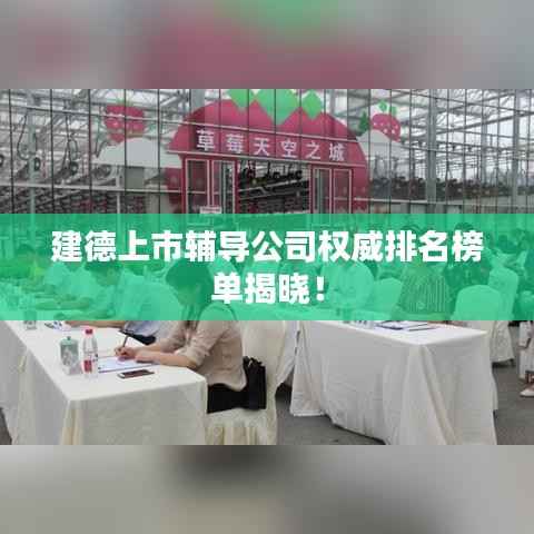 建德上市辅导公司权威排名榜单揭晓!