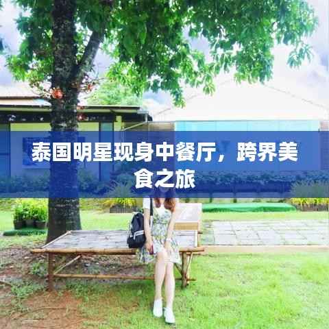 泰国明星现身中餐厅，跨界美食之旅